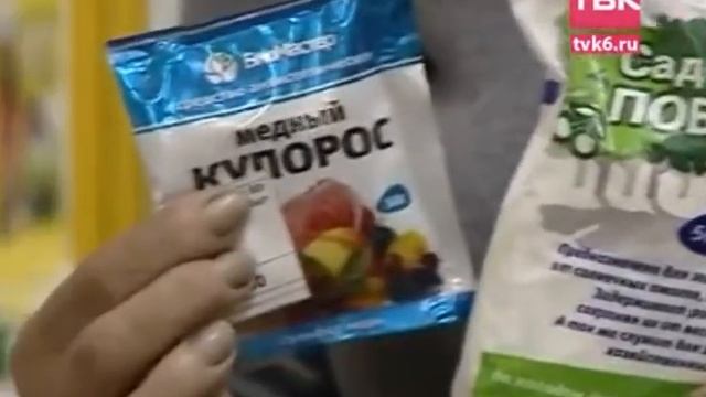 Дачные советы. "Советы тети Тани" - Побелка смотреть онлайн