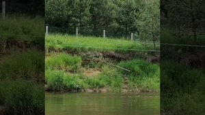 Сплав по р. Быстрица . Кировская обл.