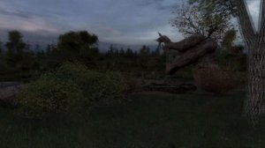 СВ3. Осколок Тьмы. Локации 2