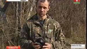 Охота с арбалетом в Беларуси