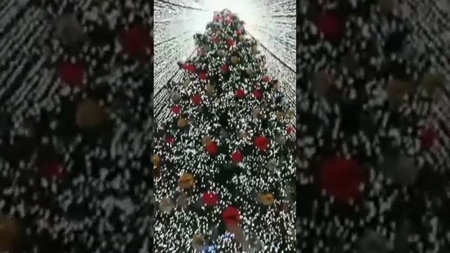 😍🤗❄🌨🐇🎄⛄🎿Страна  С Рождеством Христовым!!! Добра, любви, счастья, радости, веры, надежды, Мира!!!🌐🕊❤