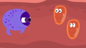 Immune System: Innate and Adaptive Immunity Explained