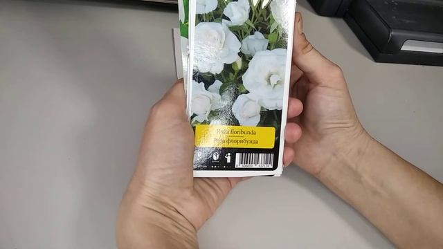 Не покупайте саженцы роз зимой! смотреть онлайн