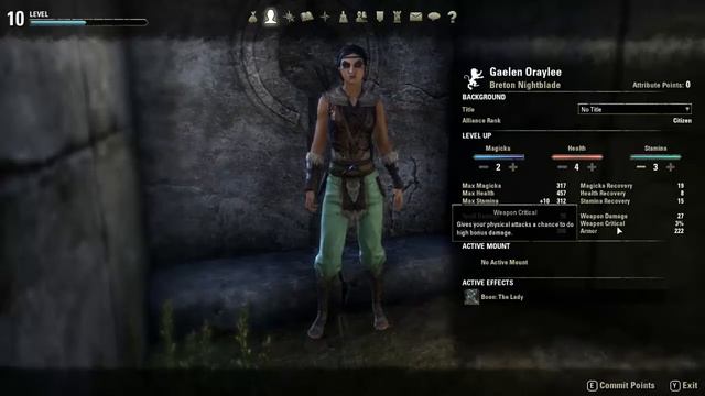 Elder Scrolls Online Beta - Daggerfall and Glenumbra - 02 смотреть онлайн