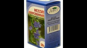 Иссоп лекарственный