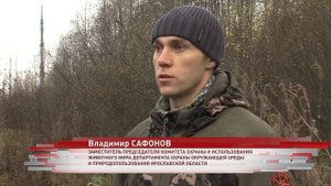 В Ярославской области ловят браконьеров