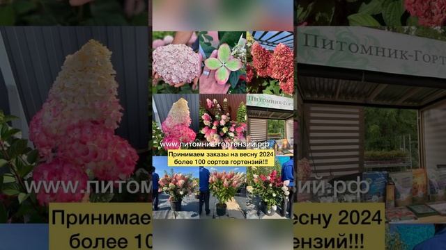 Самое масштабное событие в Москве!!! 2023 год выставка «Нетипичный Садовод» 20-21 октября.
