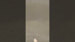 База отдыха Paradise Андреевка Приморский край Хасанский район