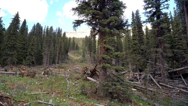 Yoho National Park | Hiking the Land of Awe and Wonder смотреть онлайн