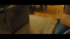 КОТ ОТКУСИЛ ПАЛЕЦ ХОЗЯИНА!!! ШОК!!