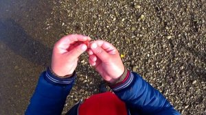 Кунджа на поплавок / Рыбалка Сахалин осень 2021