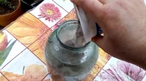 Зольный настой.Подкормка для лилий