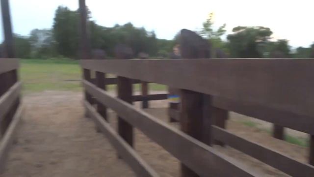 Эко-тропа.Минск.(1080p).27.06.20. смотреть онлайн