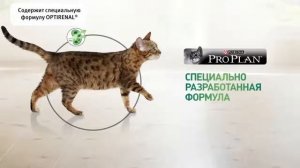 PRO PLAN® представляет корма для стерилизованных кошек и кастрированных котов