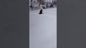 Рыбалка на фидер. Ловля крупной плотвы на фидер весной со льда Прикормка Дунаев лещ, бешеный клев)