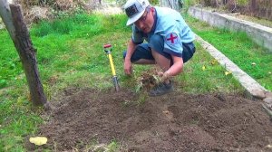 12 Растут везде зелёные изумруды (2).mp4