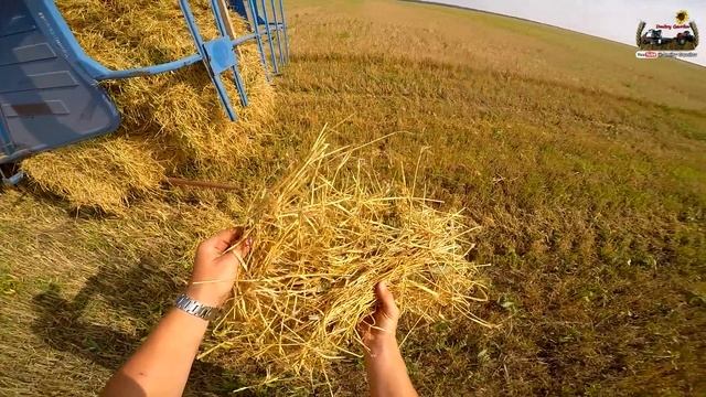 55-д. 2016 "Начинаем убирать ячмень" Вектор 410 и Енисей 1200-1нм. смотреть онлайн