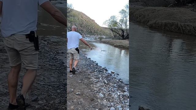 #arizona #buslife #vanlife #homeschool #roadschool #travel #hiking #river