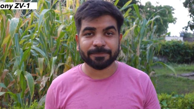 IPhone Vs Camera | Point & Shoot Camera still Worth ? | IPhone 11 vs Sony ZV-1 | Best YouTube Camer смотреть онлайн