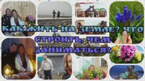 Обшиваем домик 20,02,2022