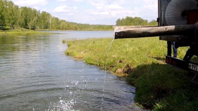 Зарыбление платника 