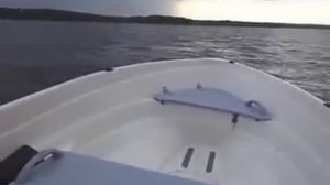 лодочный мотор honda 15лс и лодка terhi sea fun