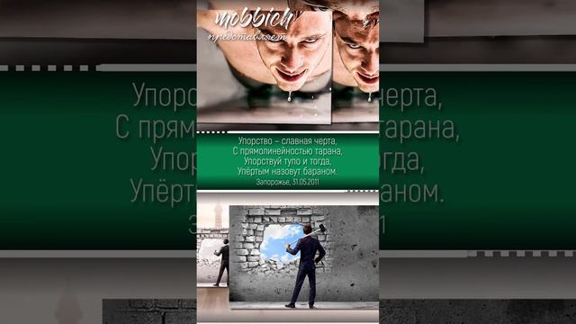 155 Упорство славная черта