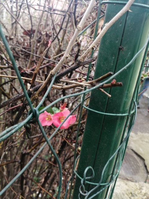 Еще один эпиграф