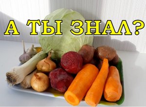 КАК будто с ГРЯДКИ: сохраняем УРОЖАЙ правильно???