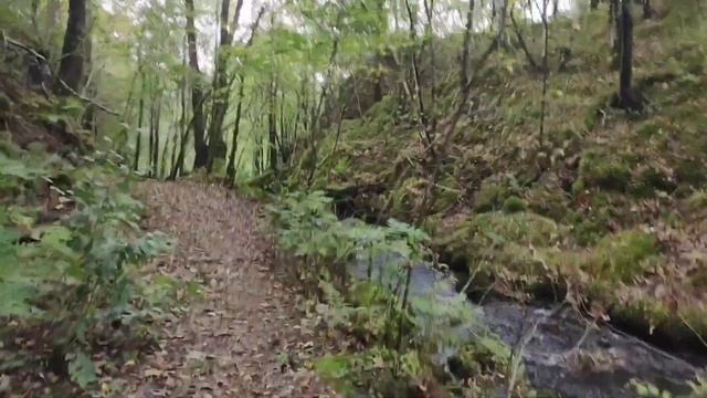 Moja córka zniszczyła kolosa ? + zabieram was na spacer po lesie ? смотреть онлайн