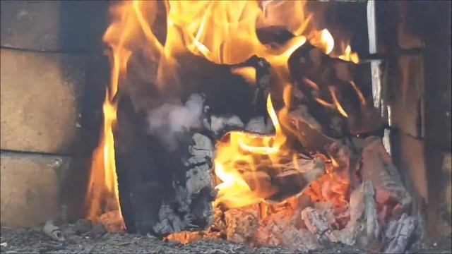 JUGLANS REGIA смотреть онлайн