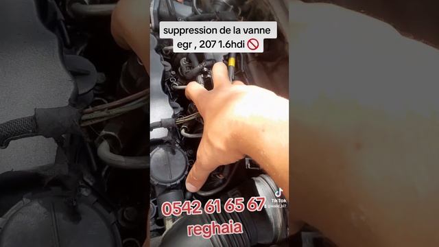 vanne egr Peugeot 207 1.6hdi