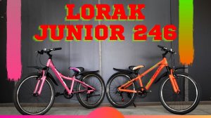 Обзор велосипеда Lorak Junior 246