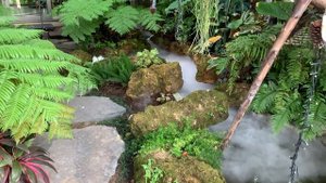 Красивые и недорогие Кафе для фотосессии в Паттайе.