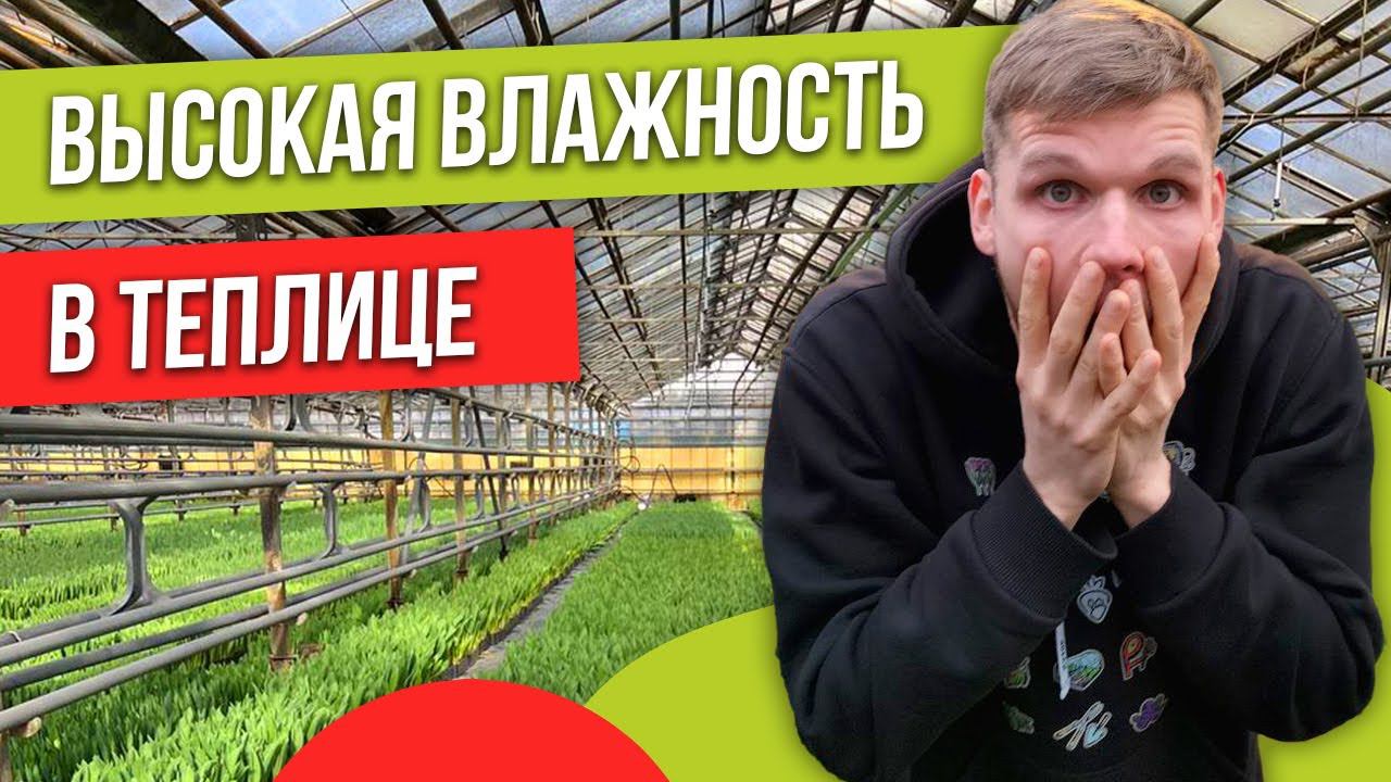 Как сделать вентиляцию в теплице? #теплица #вентиляция #веревкинхутор
