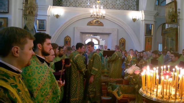 Освящение вербы митрополитом Павлом - Вход Господень в Иерусалим.