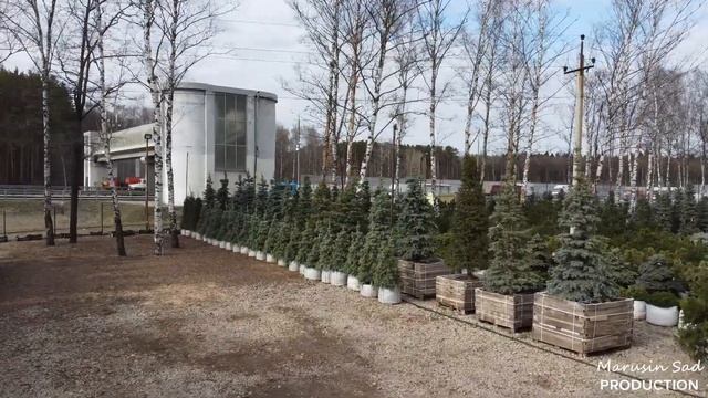 Садовый центр "Марусин Сад" - Апрель 2022 смотреть онлайн