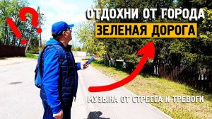 Зеленая дорога \ Музыка от стресса и тревоге \ Отдохни от города \ Завидово