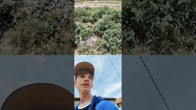Поход по заброшкам и жути