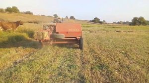 тюкую сено в сентябре/пресс  подборщик Welger AP41 и трактор DW 244 AT