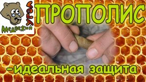 ПРОПОЛИС - идеальная защита