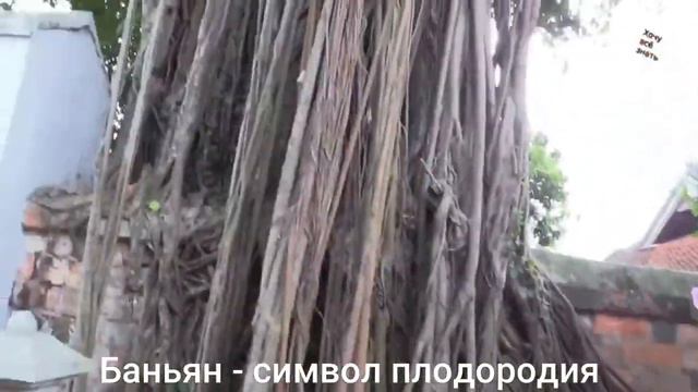 Индонезия  Интересные факты