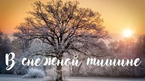 В снежной тишине. Красивая музыка. Музыка для души.