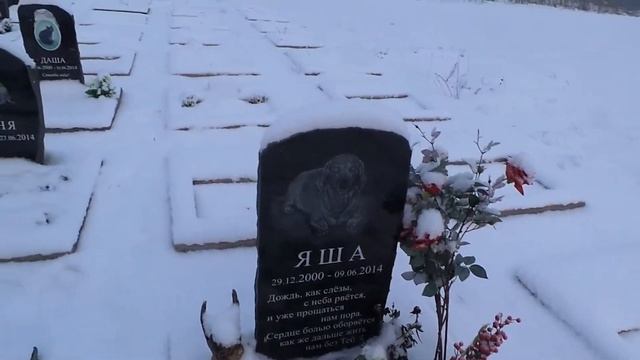 Ритуальное агентство 