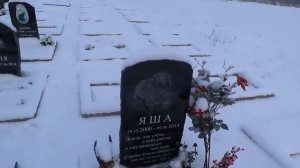 Ритуальное агентство "Друг". Кладбище домашних животных в Санкт-Петербурге