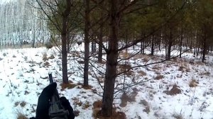 Охота на лося. Загонная Охота. Разом закрыл все лицензии.