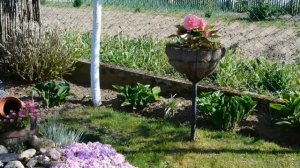 Сад красив не только цветами.В гостях у Ирины.