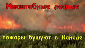 Лесные пожары могут продолжаться в Канаде все лето