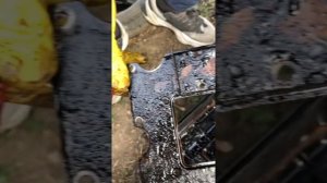 Хундай Акцент 16 клапанов,устранение масложора своими руками,помощь в решении проблемы