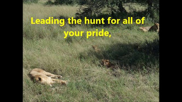 Beneath the Savannah African Thorn Scrub смотреть онлайн